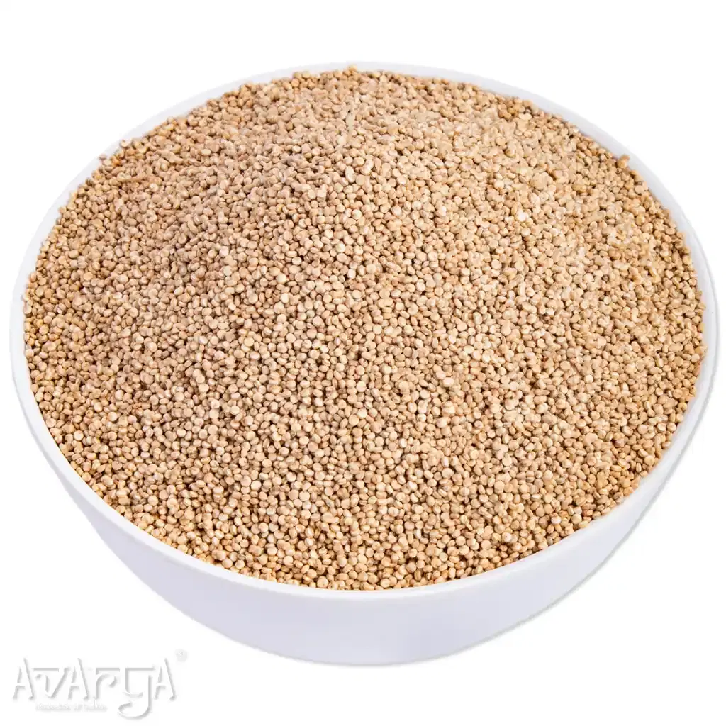 Quinoa - Quinnoa-03