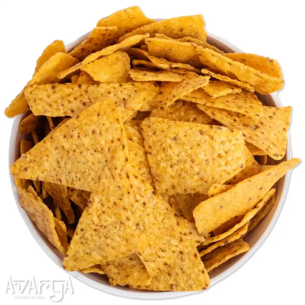 Sea Salt Nachos - Sea Salted Nacho-01
